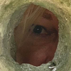 Meet your Posher, Sharon